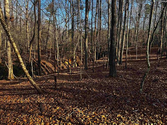 4th image of 0 Mann Rd