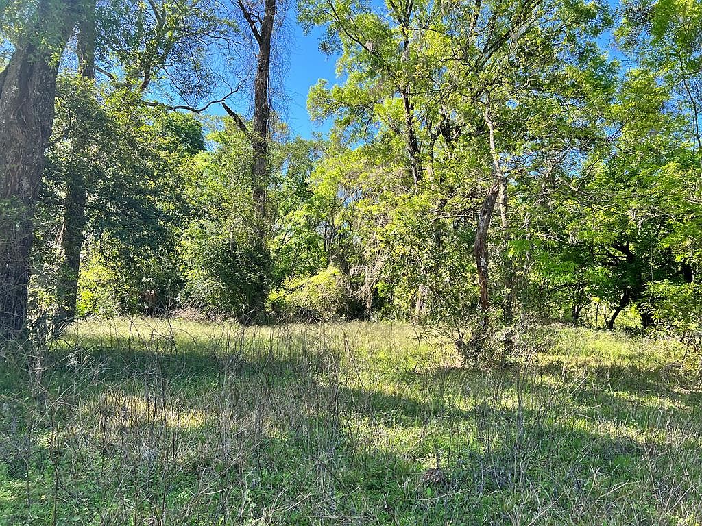 Lake Cir, Fanning Springs, FL 32693 MLS 786206 Zillow