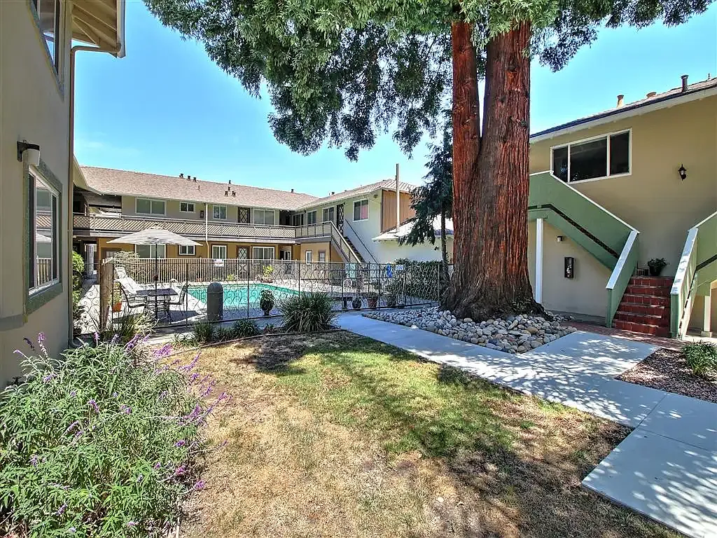 1 bed, 600 sqft, $2,450 — Photo 2