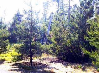 Pine Ridge Lot #4, Manzanita, OR 97130