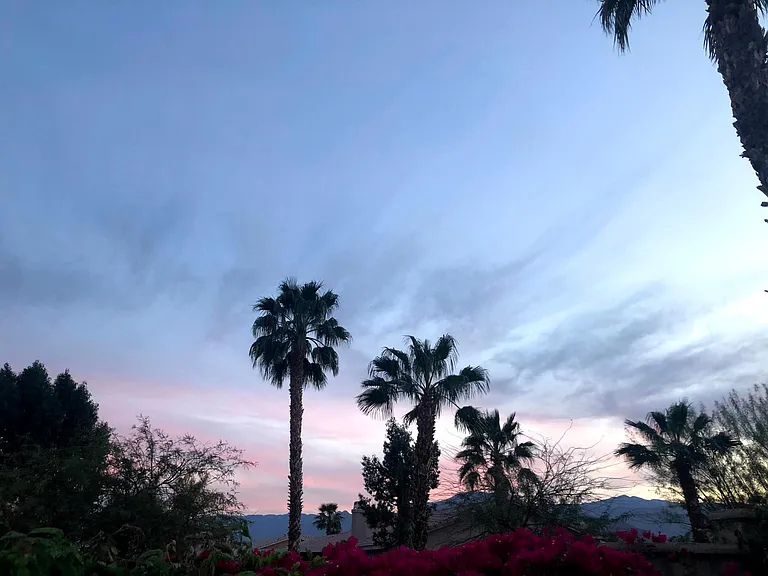 Mountain/sunset view from the backyard