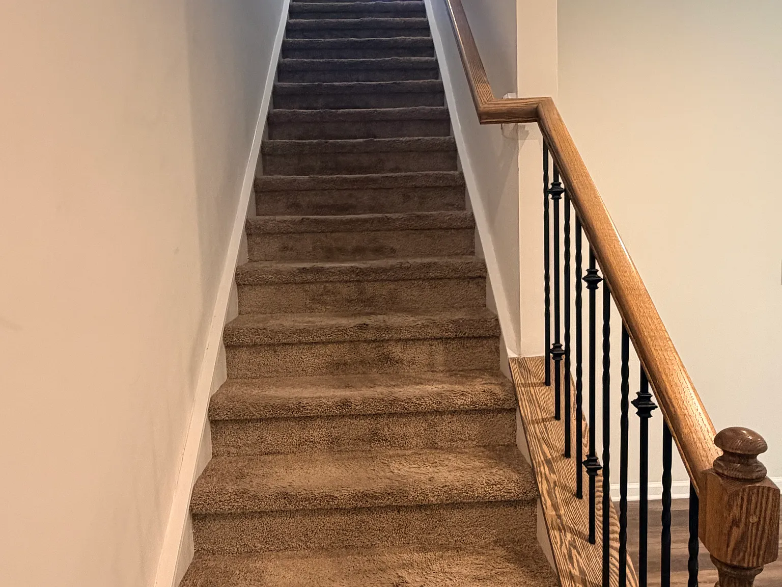 3 bed, 1600 sqft, $2,145 — Photo 4