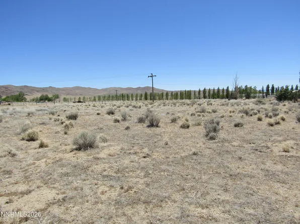 603 Pete Hendrichs Rd, Yerington, NV 89447
