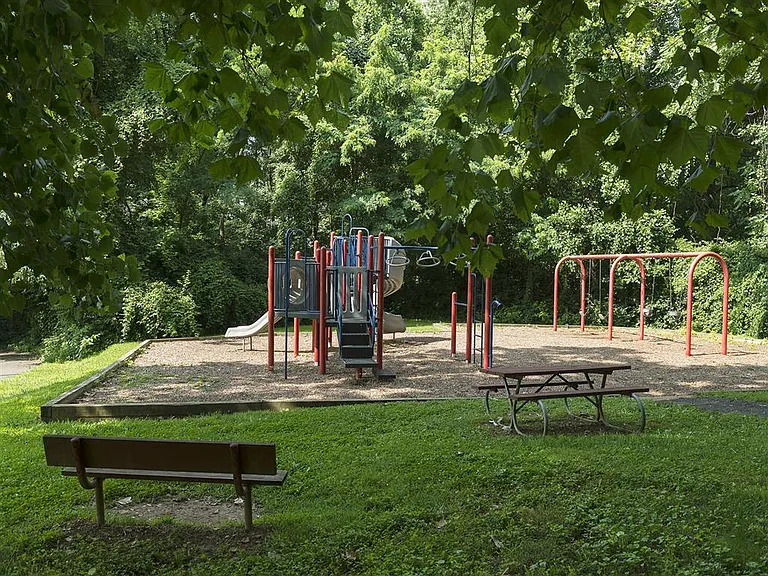 Playground surrounded by lush green landscaping
