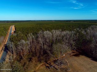 0 Shiloh Rd, Willard, NC 28478