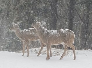 150 Summit Dr #104D, Snowshoe, WV 26209