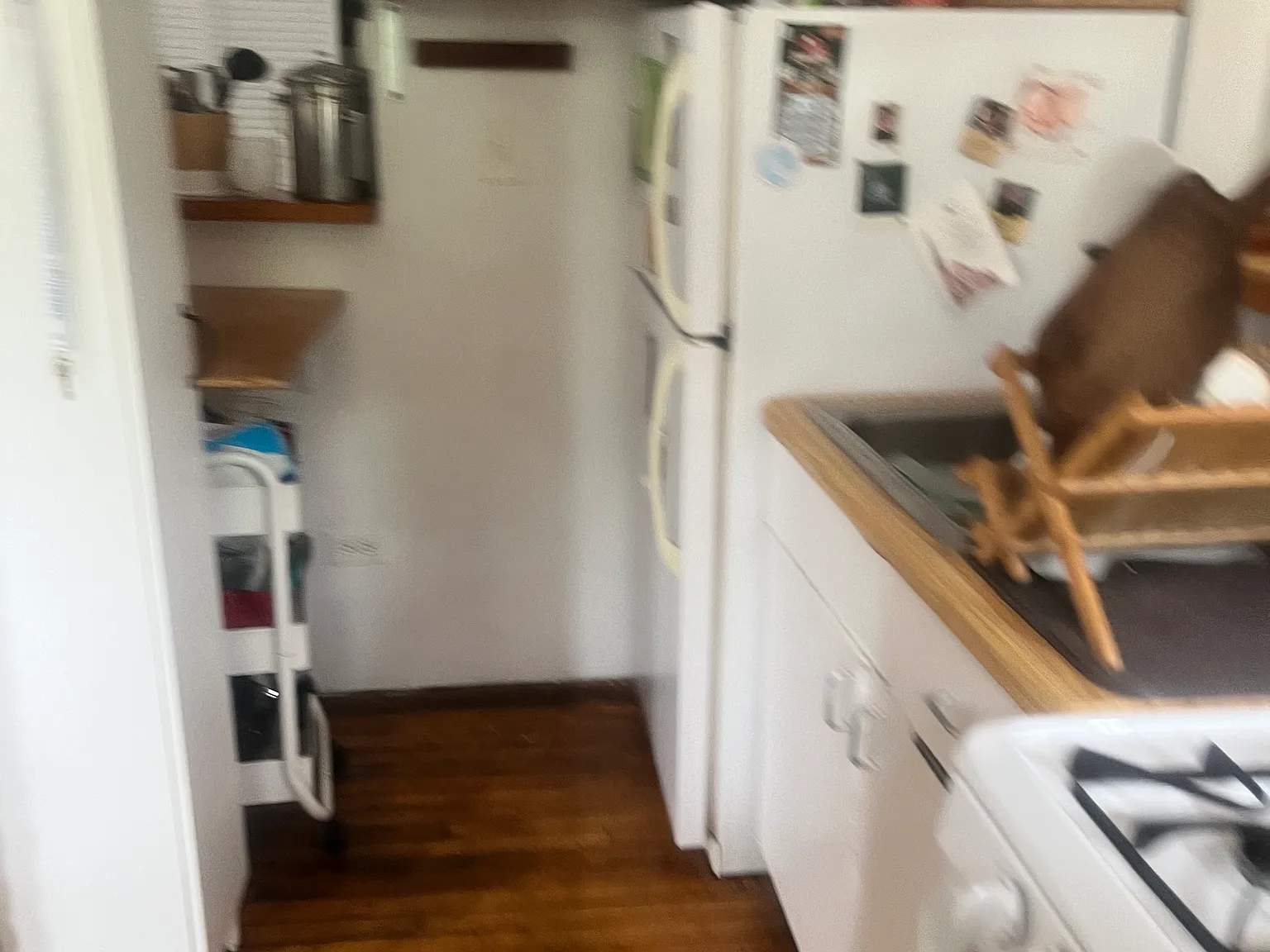 1 bed, 1100 sqft, $1,580 — Photo 4