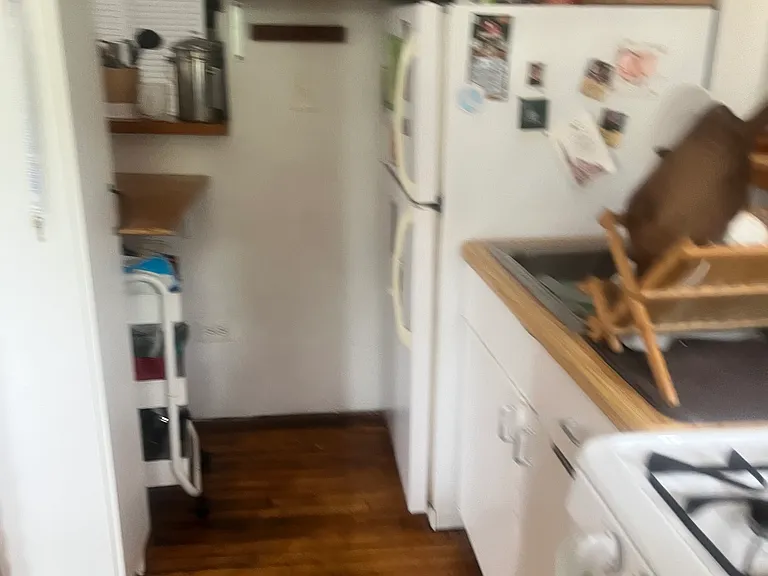 1840 S Halsted St #2R — Photo 4