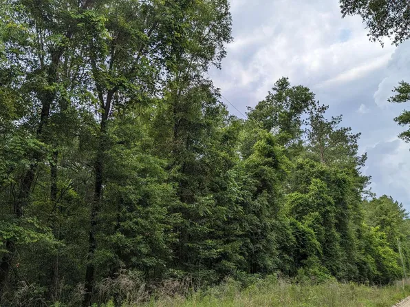 177th Road & 14th St, Live Oak, FL 32060