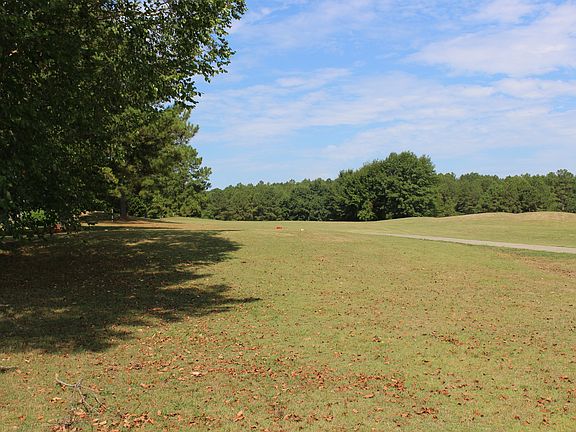 Backyard view of  #3 Tee