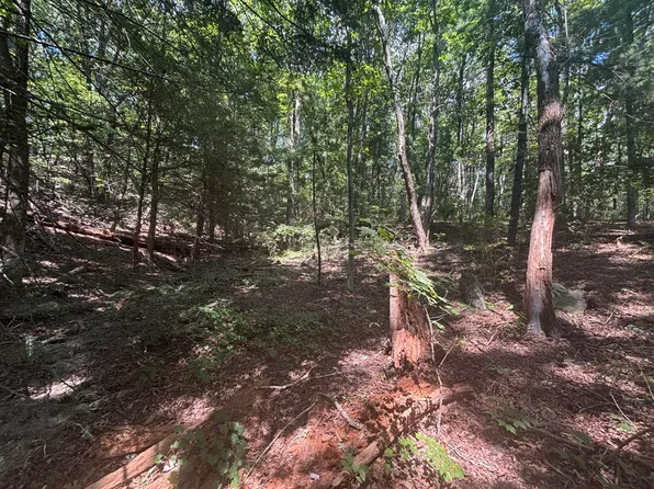 0 Fort Trace Dr, Lookout Mountain, GA 30750