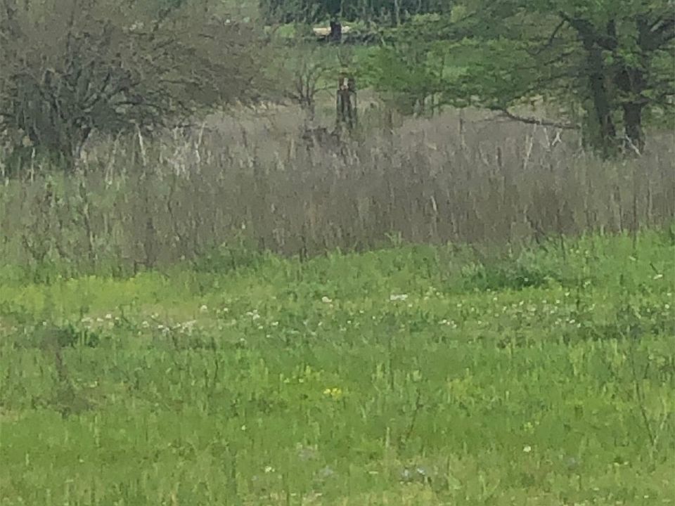 2nd image of 4080 South Rd