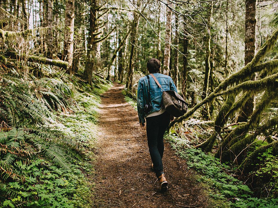 TOPOGRAPH 26 Albert St Auburn MA Zillow