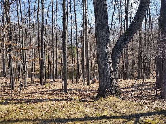 2nd image of 9131 Briarstone Dr #21