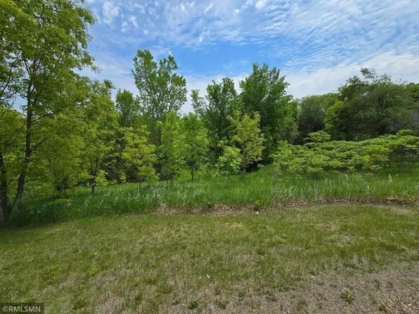 72569 243rd St, Dassel, MN 55325