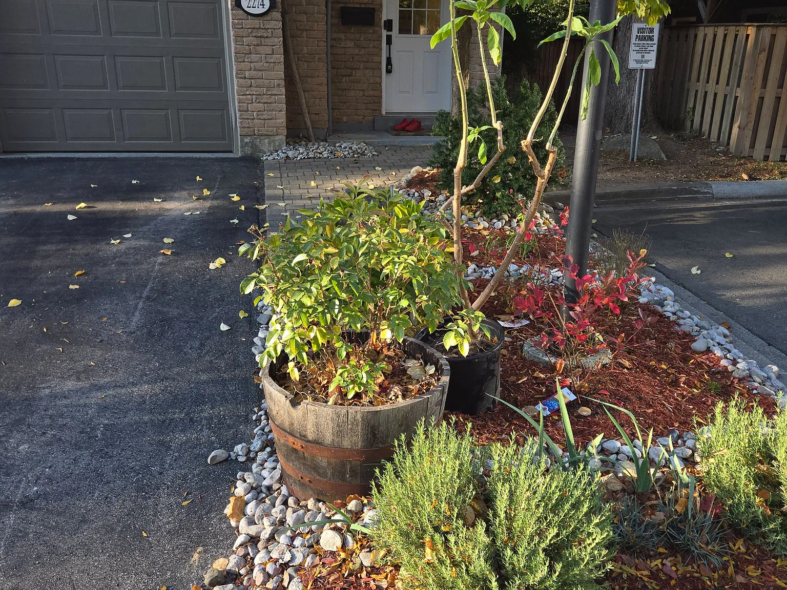 3 bed, $3,750 — Photo 4