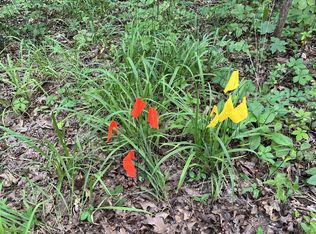 1A S Lick Creek Rd LOT 16, Lyles, TN 37098