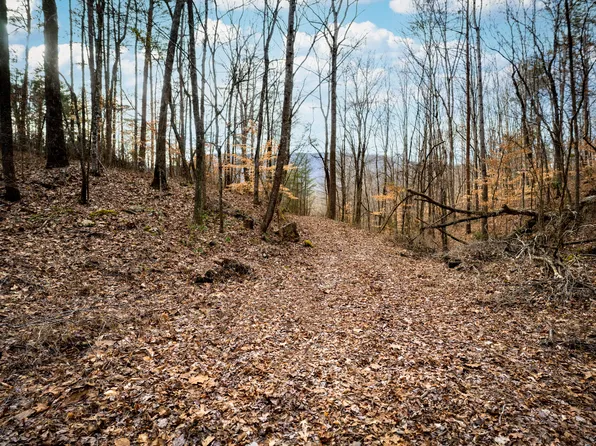 304 Gilley Ln Tract 1, Chickamauga, GA 30707