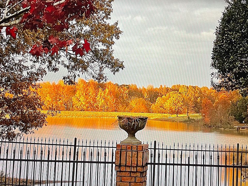 Lakeside Ridgepointe Estate