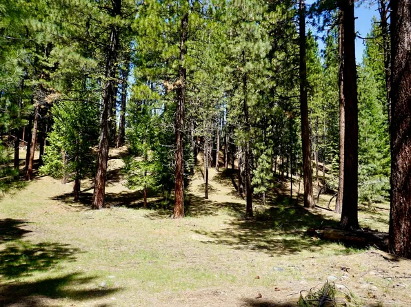 4 Paiute Trl, Graeagle, CA 96103