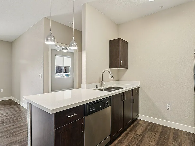 Kitchen Counter, Built-In Sink and High-Arc Faucet