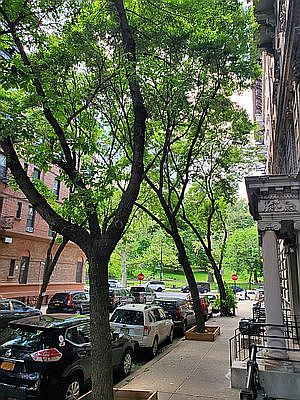 1st image of 353 W 115th St #4A