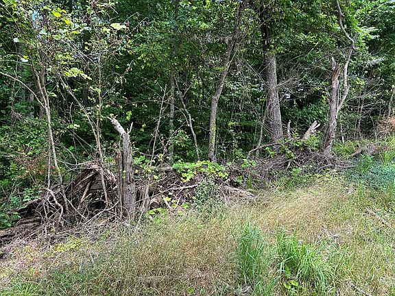4th image of Hanging Limb Hwy