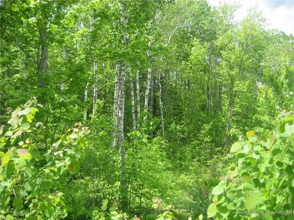 41 Quarry Trl #14, South Thomaston, ME 04858