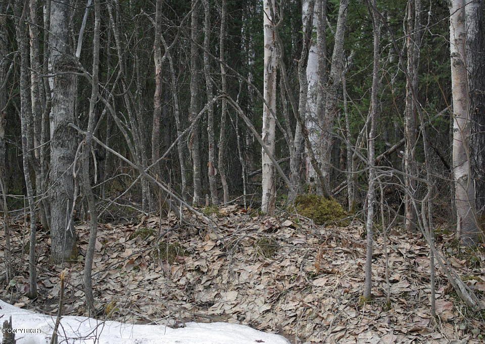2nd image of 50077 S Bendapole Rd