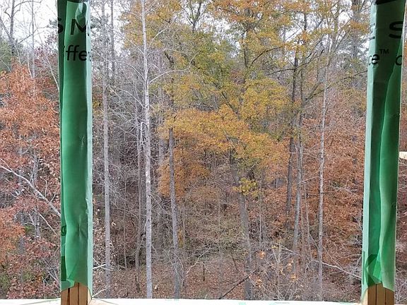 Family Room View of Tree Conservation Area
