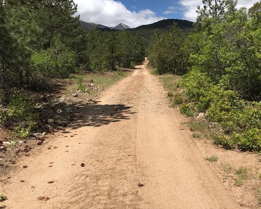 2nd image of 230 County Road 46