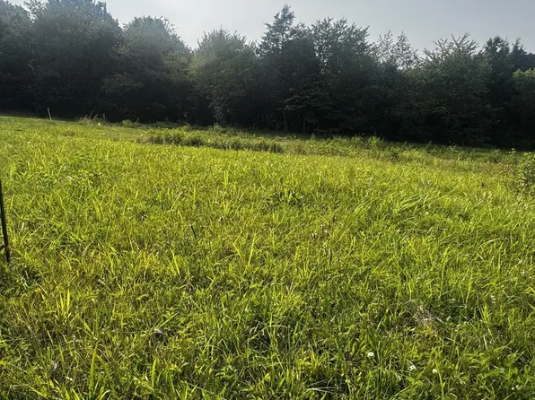 6481 Kelly Willis Rd, Greenbrier, TN 37073