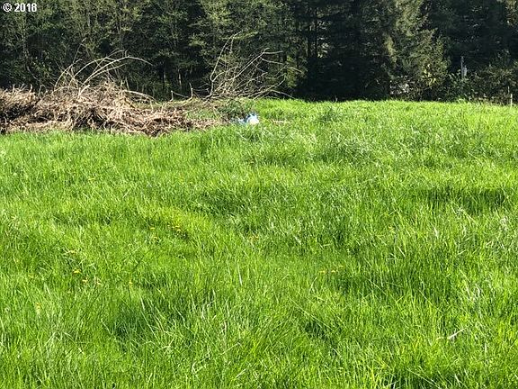 5th image of 0 NE 242nd Ave