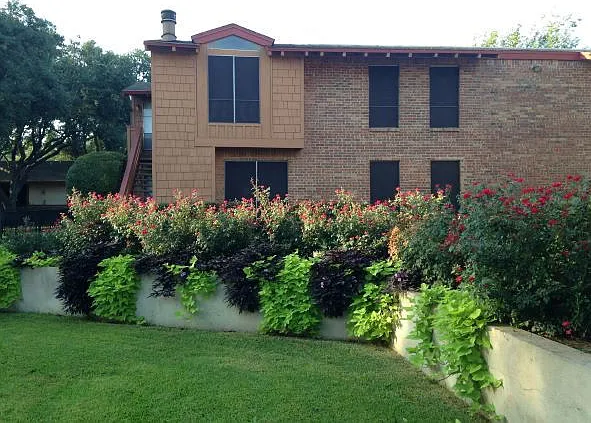 Sun Colony — Photo 3