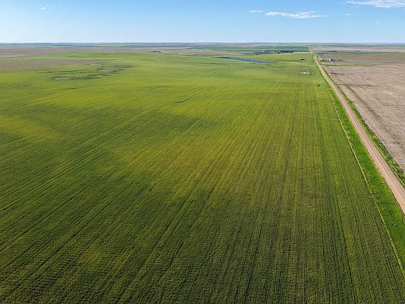 Dji Fly 20260610 173054 0536 1781187220642 Photo