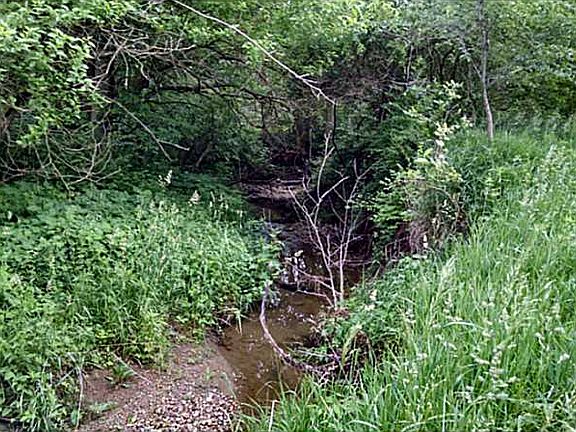 4th image of 4689 Old Troy Pike