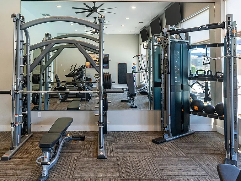 Weight Bench and Kettlebells