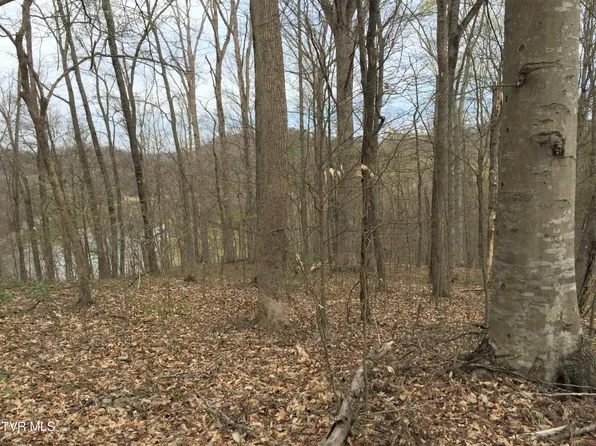 0 Horseshoe Bend Rd, Rogersville, TN 37857