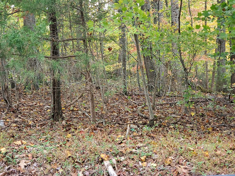 1st image of TRACT 1A Farm View Rd