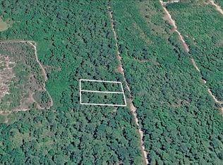 231 and 233 W EDGELINE ROAD LOT 50, SATSUMA, FL 32189