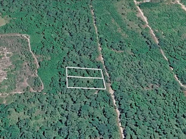 231 and 233 W EDGELINE ROAD LOT 50, SATSUMA, FL 32189
