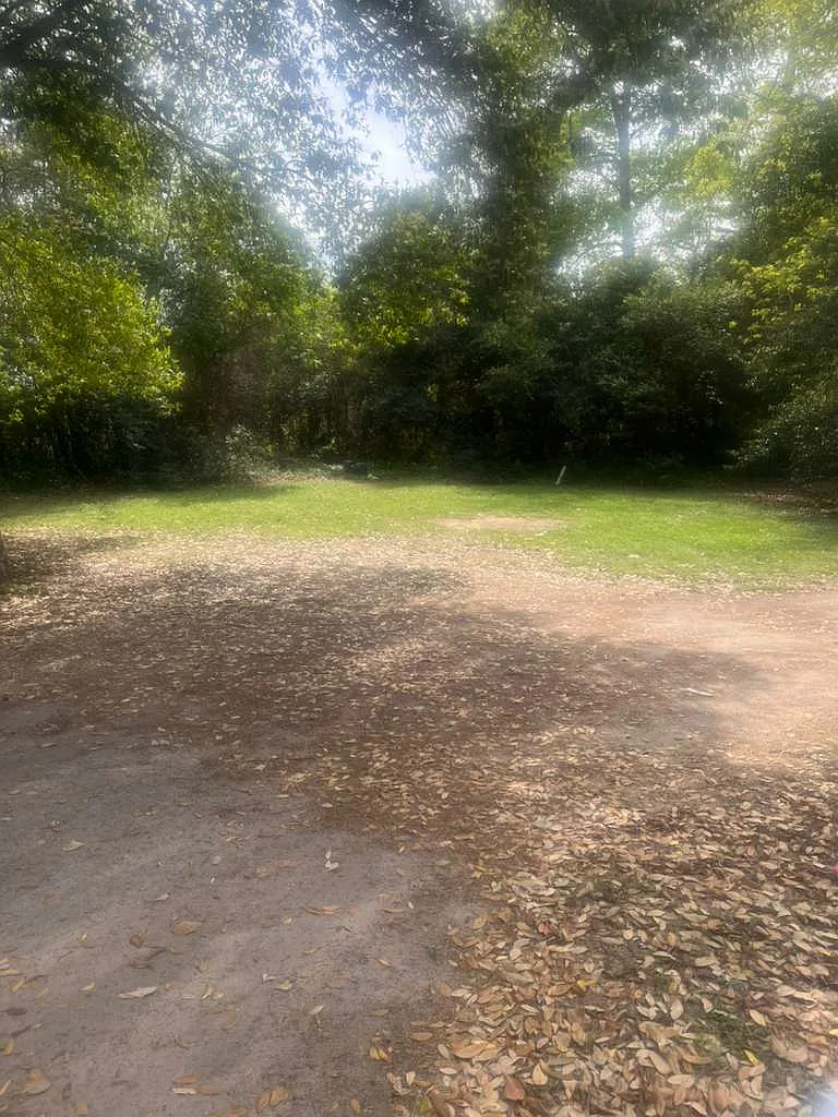 Studio, 700 sqft, $550 — Photo 2
