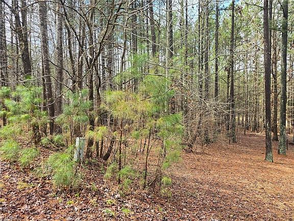 4th image of 225 Cove Wood Dr