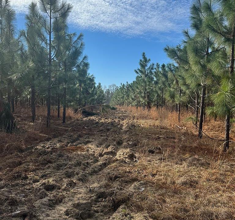 2nd image of 268 Bunyon Davis Rd
