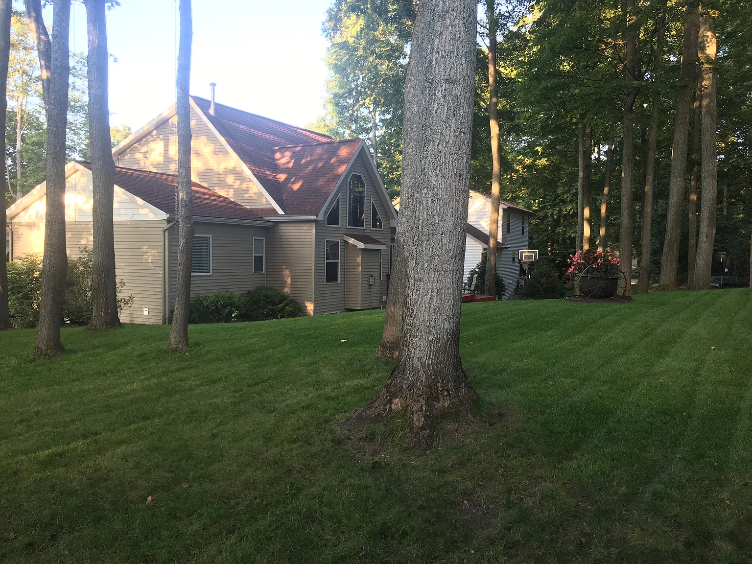 364 Eden St photo 1