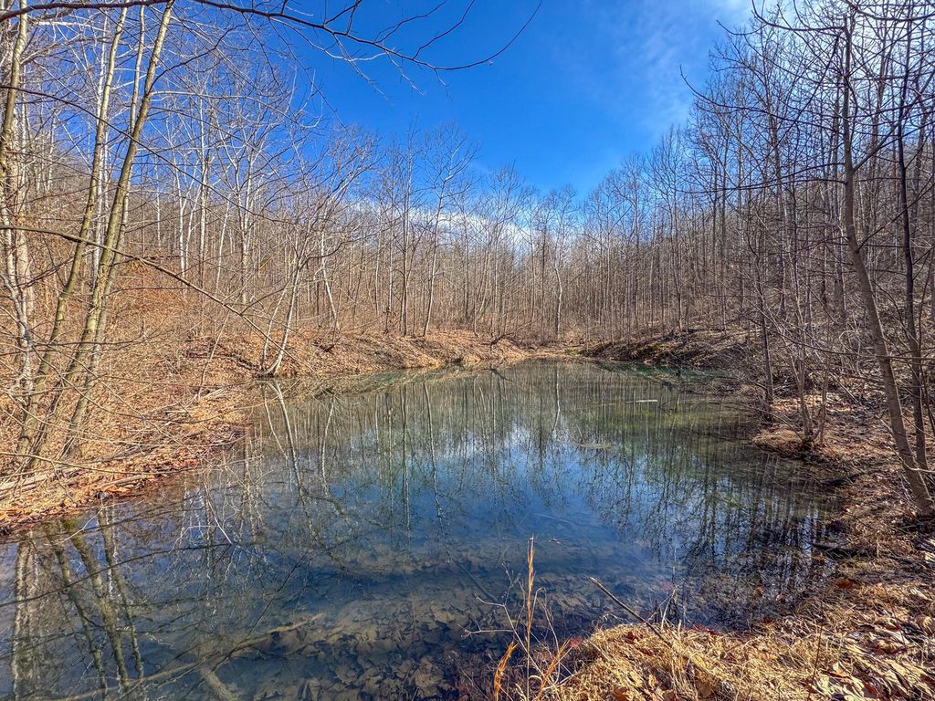 Real estate listing image