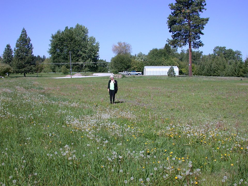 2nd image of 135 River Rd