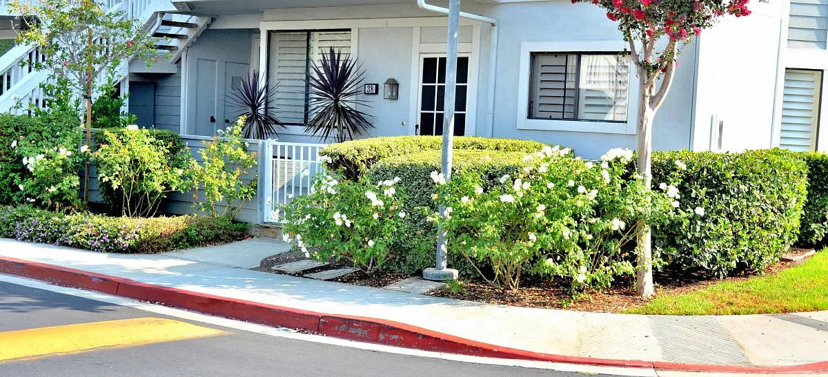 2 bed, 1000 sqft, $3,400 — Photo 2