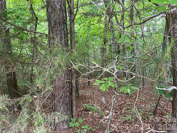 2nd image of 2426 Ore Bank Rd