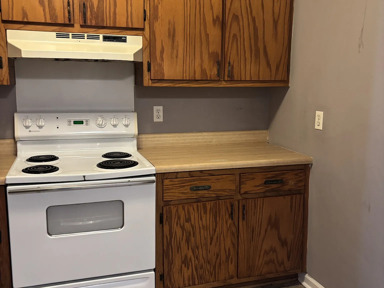 283 Adkins Circle - Munford TN - 1 — Photo 4